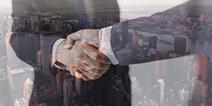 12年行業(yè)專注